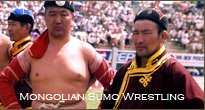 Mongolian Sumo Wrestling