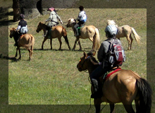 大草原を楽しむ乗馬ツアー