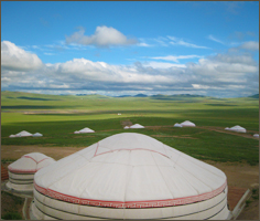 広大な草原に、120㎡のゆったりとした広さをもつモンゴル伝統のゲルタイプの客室が全26棟
